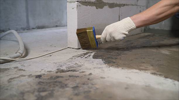 SJ Waterproofing Pros Waterproofing coverage map for Roseville, MI and surrounding area